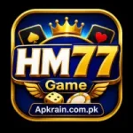 HM77 Game